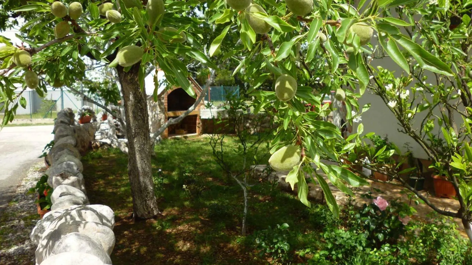 Apartments Seline/Paklenica Riviera 27380 Croatia